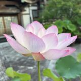 8月カレンダー